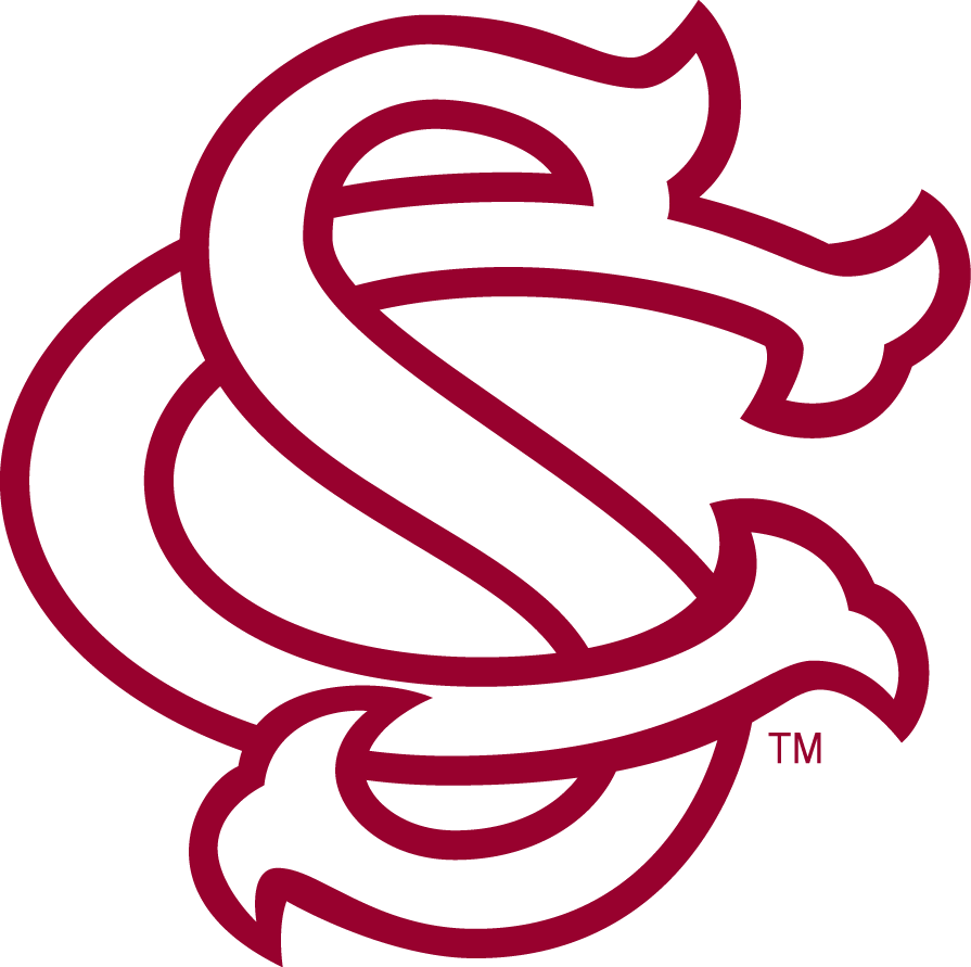 South Carolina Gamecocks 1993-Pres Alternate Logo iron on paper